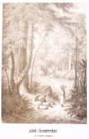 Rosti Pál: Úti emlékezetek Amerikából. 2 színezett képpel, 13 kőmetszvénnyel, 2 acélra metszett tájk...