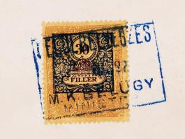 1906 A tolcsvai Bónis család címerének hivatalos igazolása, kézzel festett címerrel