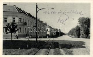 Eszék downtown avenue, city park