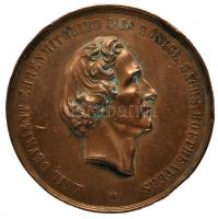 Német Államok / Szászország 1868. Emil Devrient Br emlékérem (50mm) T:II- ph. German States /Saxony 1868. Emil Devrient Br commemorative medallion (50mm) C:VF edge error