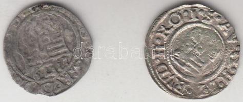 1579KB Denár Ag "Rudolf" előoldali duplaveret T:3 + 1588. Denár Ag "Rudolf" T:2-...