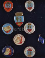 Románia / Nagyvárad DN 8db modern kitűző + "EU" kitűző T:1  Romania / Oradea ND 8pcs of modern badges + "EU" badge C:UNC