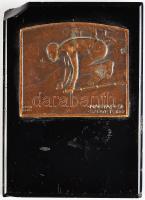 Berán Lajos (1882-1943) ~1940. "Magyar Sí Szövetség" Br plakett (48x55mm) tömör üveglapon (egyik sarok letört) (100x71mmm) T:2