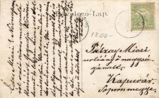 Nyúl, Károly bácsi kunyhója, photo (fa)