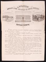 1874 Bp., XII. A Budapesti Magán elme- és ideggyógy és ápoló intézet értesítvénye az intézmény céljairól és a betegekkel kapcsolatos rendelkezésekről, 2 oldal.