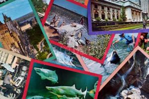 175 db modern, főleg USA lap, valamint néhány európai és mexikói / 175 modern, mainly USA postcards and some European and Mexican postcards