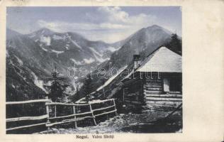 Negoi, valley, hut (EK)
