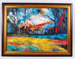 Schéner Mihály (1923-2009): Tájkép. Olaj, farost, jelzett, újszerű keretben, 50×70