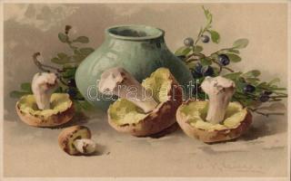 Mushrooms 'Meissner & Buch Köstlicher Fund für Auge und Mund Serie 1405' litho s: C. Klein