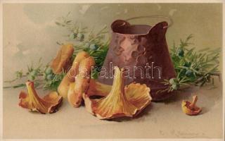 Mushrooms 'Meissner & Buch Köstlicher Fund für Auge und Mund Serie 1405' litho s: C. Klein