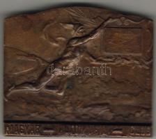 1930-as évek "Magyar Automobil Club" szögletes Br plakett T:2