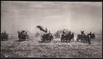 Cca 1950-1960 Szocreál mezőgazdasági fotó, 10x17 cm