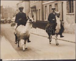 1931 Lámagolás, sajtófotó, feliratozva angol nyelven, a Pesti Napló archívumából, 18x23 cm