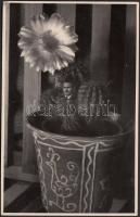 Cca 1950-1960 Tiszavölgyi József kaktuszos önarckép fotómontázsa, pecséttel jelezve, levlap méretben