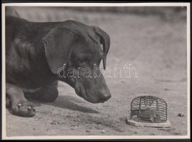 Cca 1930-1935 Kinszki Imre (1901-1945): Védő őrizetben, vintage alkotás, szerzői pecséttel, 12x17 cm
