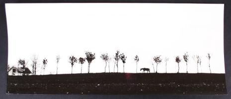 Cca 1960-1970 Dezső Pál: Hazafelé, vintage fotóművészeti alkotás, kiállítási emlékpecsétekkel, 16x37 cm