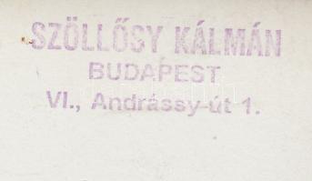 Cca 1930-1940 Szöllősy Kálmán (1887-1976): Mozgásművészet a szabadban, vintage fotó, pecséttel jelez...