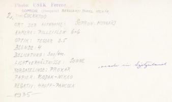 1935 Csík Ferenc: Papagáj, vintage fotó, pecséttel jelzett, feliratozott (több nemzetközi kiállításo...