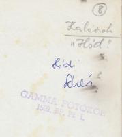 Cca 1970-1980 Hódi László: Kalászok, vintage fotó, feliratozva, 24x18 cm