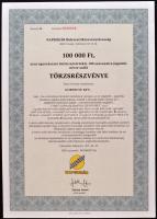 Csurgó 1997. "Napsugár Ruházati Részvénytársaság" törzsrészvénye 1000, 10.000, 50.000 és 1...