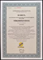 Csurgó 1997. "Napsugár Ruházati Részvénytársaság" törzsrészvénye 1000, 10.000, 50.000 és 1...