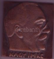 1989. "Nagy Imre" szögletes nagy Br plakett T:2