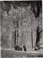 1954 Járai Rudolf: Galyatető; vintage felvétel, a szerző aláírásával, 24x18 cm