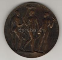 1930-as évek "Skoda-Semmelweis-Pasteur-Röntgen-Ehrlich" nagy Br. plakett T:2 kis ph.