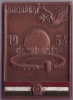 1954. "Budapest-Népstadion" nagy szögletes Br. plakett T:2 ph.