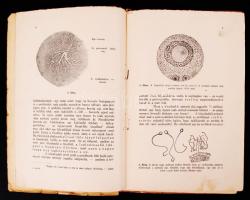 Dr. Földes Lajos: Gyermeket akarok..! A fogamzóképes és a terméketlen napok meghatározására szolgáló...