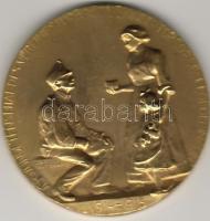 Ausztria 1915. "Leopoldineum..." aranyozott Br plakett T:2