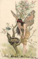 Lady butterfly, swallows, litho