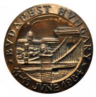 1984. "Budapest 1984. június 11-16 / NPK - Centre Internacional Des Engrais Chimiques 1933-1983" Br emlékérem (98mm) T:1 bőr zsebben