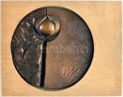 Csíkszentmihályi Róbert (1940-) 1985. "OMÉK - 1985 Magyar Fórum - Magyar Agrárszakemberek Tudományos Találkozója Budapest" Br emlékérem (80mm) fa tokban T:1