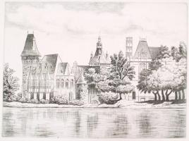 Ismeretlen alkotó: Vajda Hunyad vára. Rézkarc, papír, jelzés nélkül, 28×39 cm