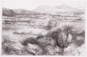 Gy. Molnár István (1933-): Nyárutó. Rézkarc, papír, jelzés nélkül, 18×28 cm