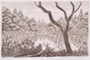 Weisz Zsuzsa (1925-): Horgászhely. Rézkarc, papír, jelzett, 18×29 cm