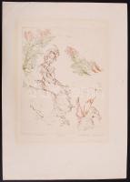 Almássy Aladár (1946-): Kecskés Mytológia. Rézkarc 40/100, papír, jelzett, 24×20 cm