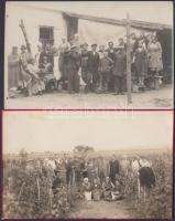 Balatonlelle szüret - 2 photo lap