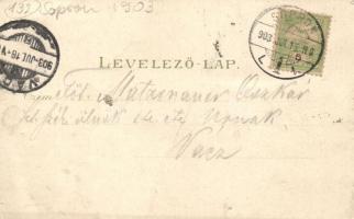 Sopron, Oedenburg; Városház, Verlags No. 69 Ludwig Kummer litho