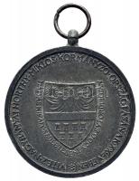 1940. "Erdélyi részek felszabadulásának emlékére" cink emlékérem szalag nélkül, szign.:BER...