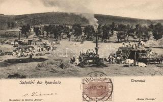 Gőzgépes cséplés Romániában / Threshing in Romania, folklore