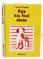 Karel Capek: Egy kis foxi élete. Bratislava 1980. Madách.