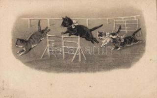 Cat race Emb. litho