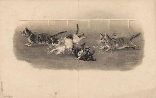 Cat race Emb. litho