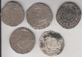 5db különféle Ag denár I. Ferdinánd (1526-1564) korából T:2-,3