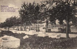 Budapest III. Aquincumi ásatások (EK)