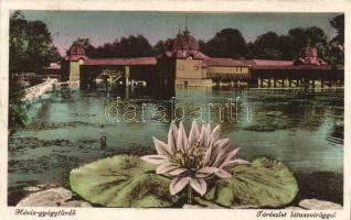 Hévíz gyógyfürdő, tó lótuszvirággal