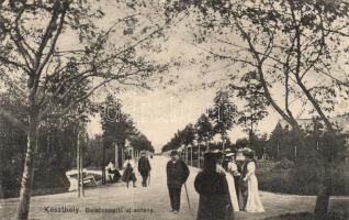 Keszthely Balaton parti sétány (ázott / wet damage)