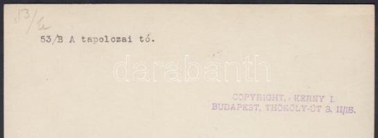 cca 1930-1940 Kerny István (1879-1963): A tapolcai tó, vintage fotó, feliratozott, jelzetlen, a szer...